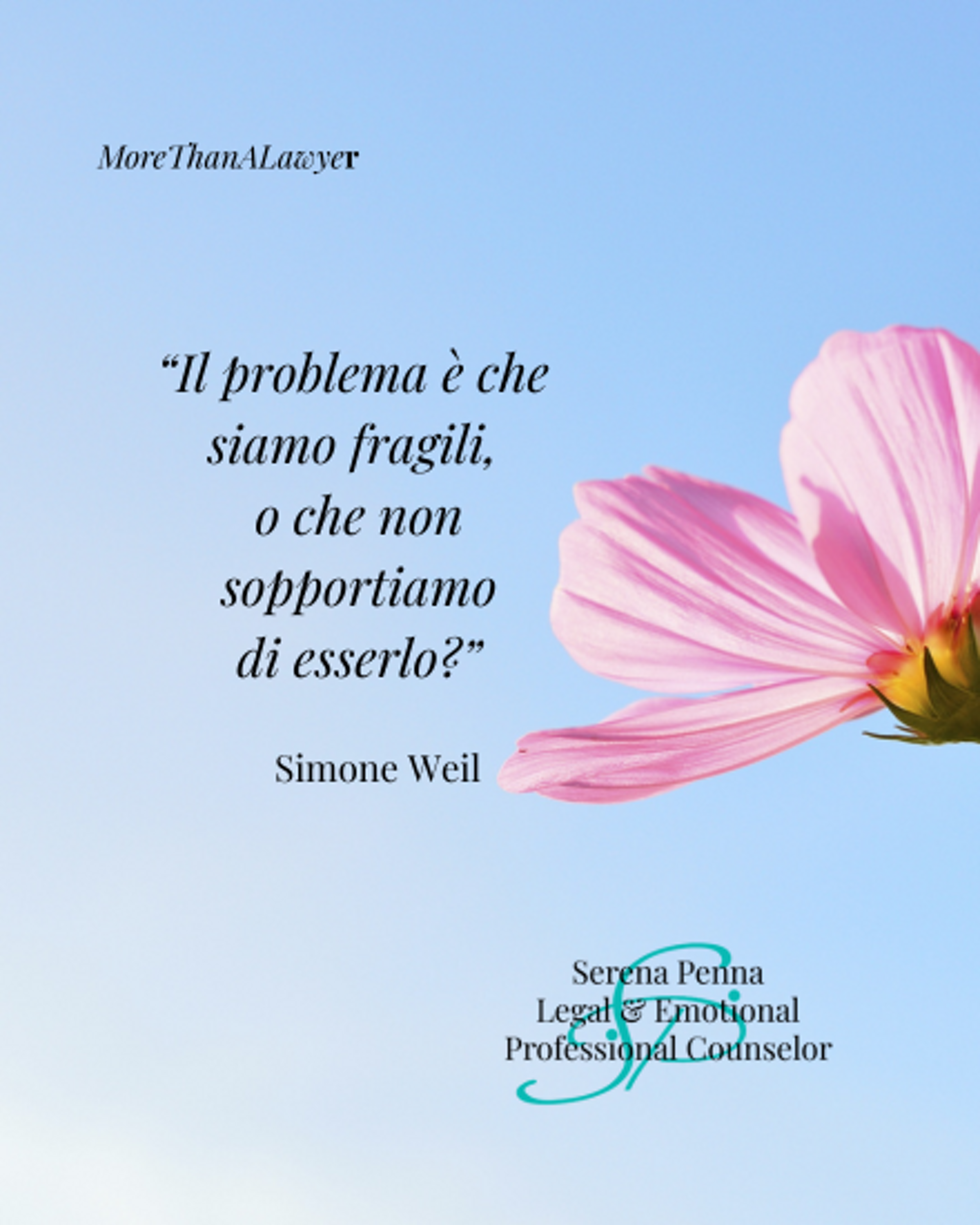 08.04.2026 weil.png